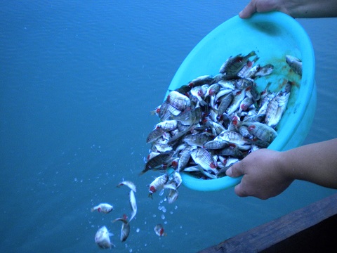 Img276240834.jpg