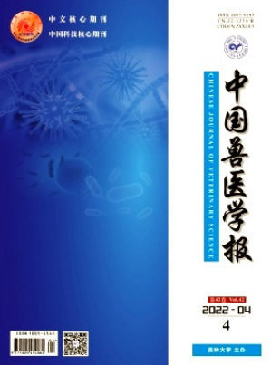 ЇFt(y)W(xu)(bo)һ(j)W(xu)(bo)