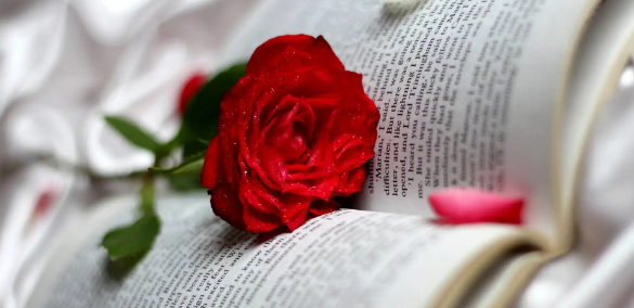 Ӣڿʲܸڶ