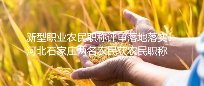 IrQu䌍ӱʯfr@rQ