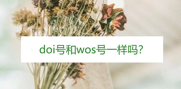 doi̖wos̖һӆ