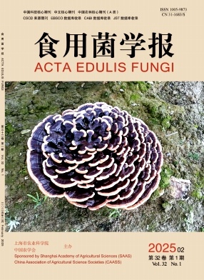 ʳþW(xu)(bo)