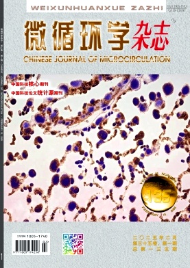 ΢ѭhW