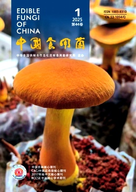 Їʳþ